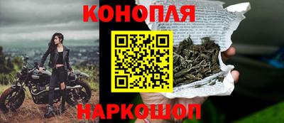 крисы Чебаркуль
