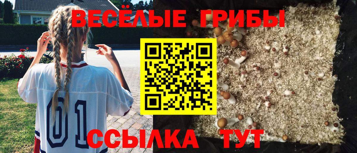 купить закладку  Вход с VPN  Мурино  Псилоцибиновые грибы мухоморы 